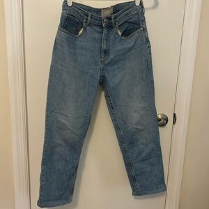 Everlane the cheeky Jean